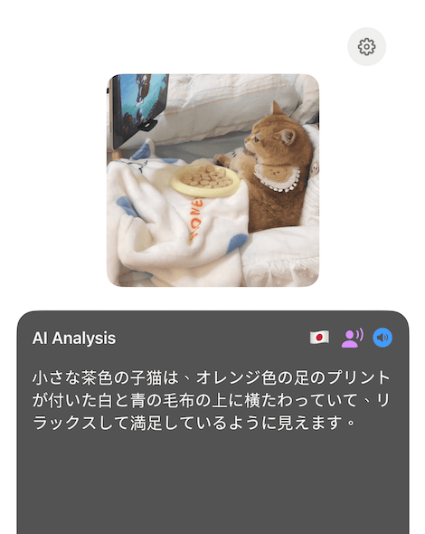 ActionsCam Multi-Language Support Screenshot